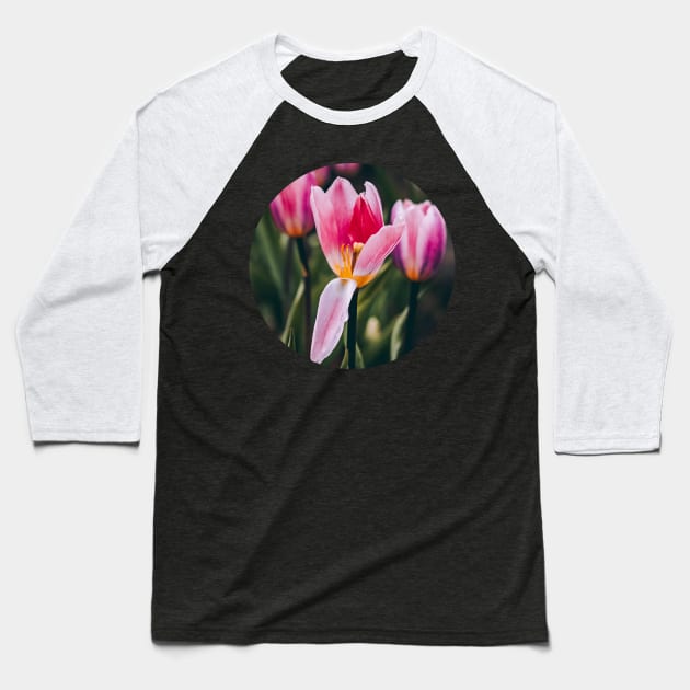 Tulip Petal Opening Photograph Baseball T-Shirt by love-fi